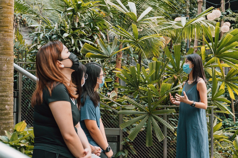 engaging a forest guide in singapore